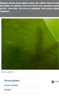 Mobile Screenshot of grupa.aquanet.pl